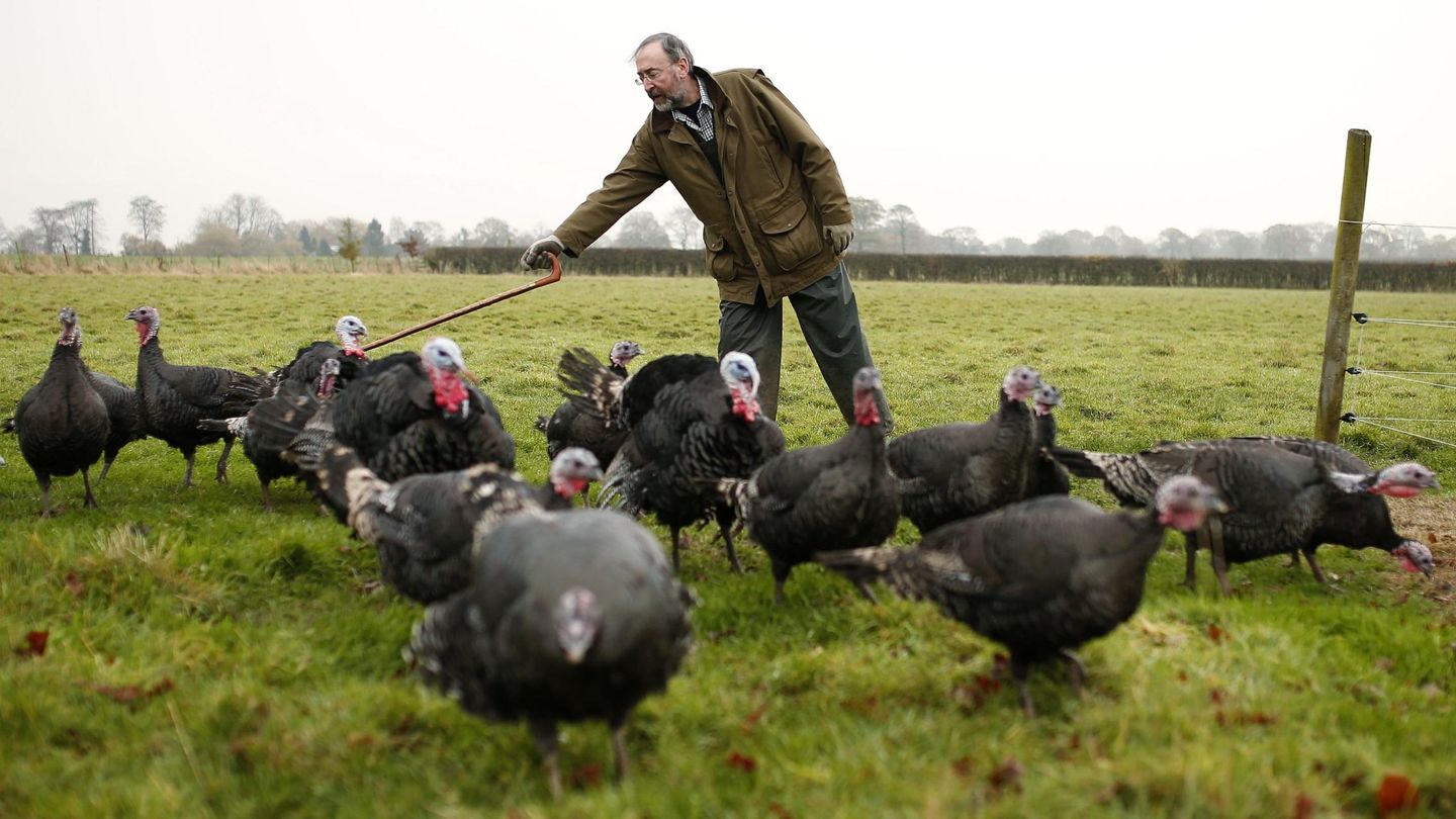 El granjero Paul McAvoy. (Reuters)