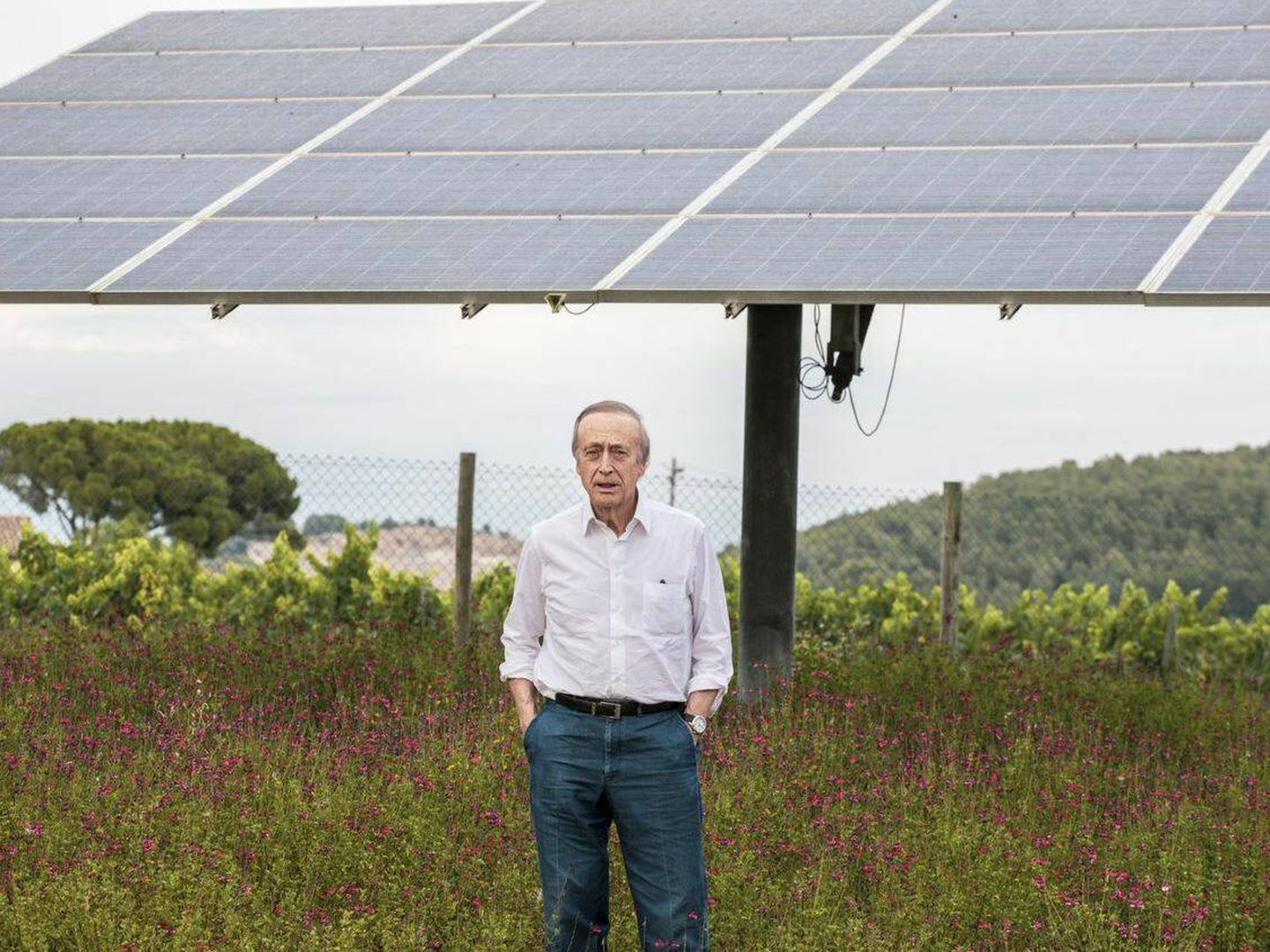 Miguel A. Torres, junto a una instalación fotovoltaica en sus viñedos. (Familia Torres)  