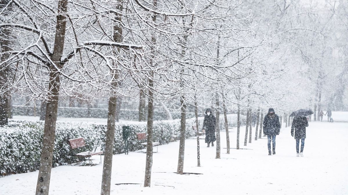Un experto de la AEMET avisa de la posible llegada de un 'verdadero invierno' en esta fecha: "Hay fuertes evidencias"