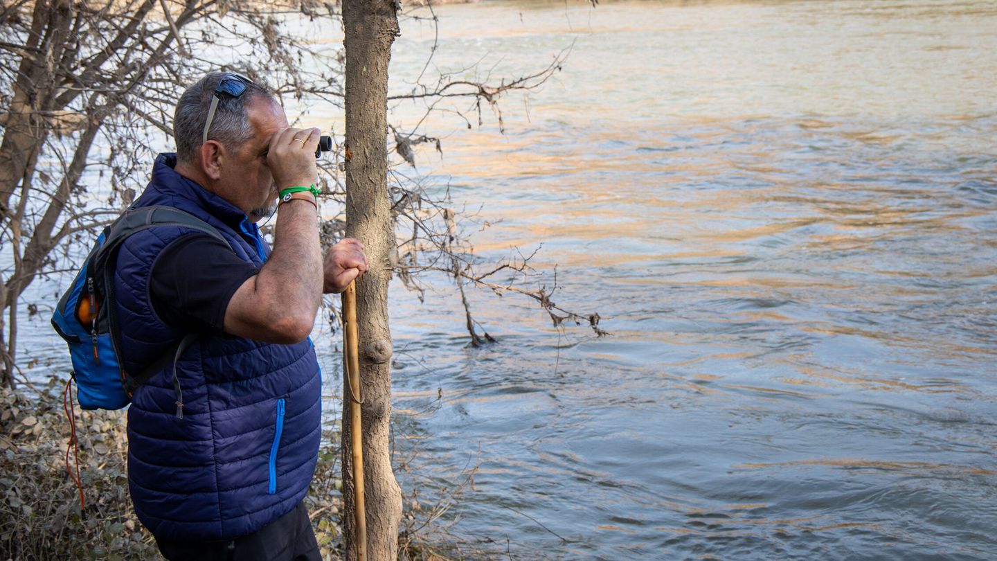 Un hombre busca, a orillas del río Ebro, alguna pista que ayude a encontrar a Javier. (EFE)