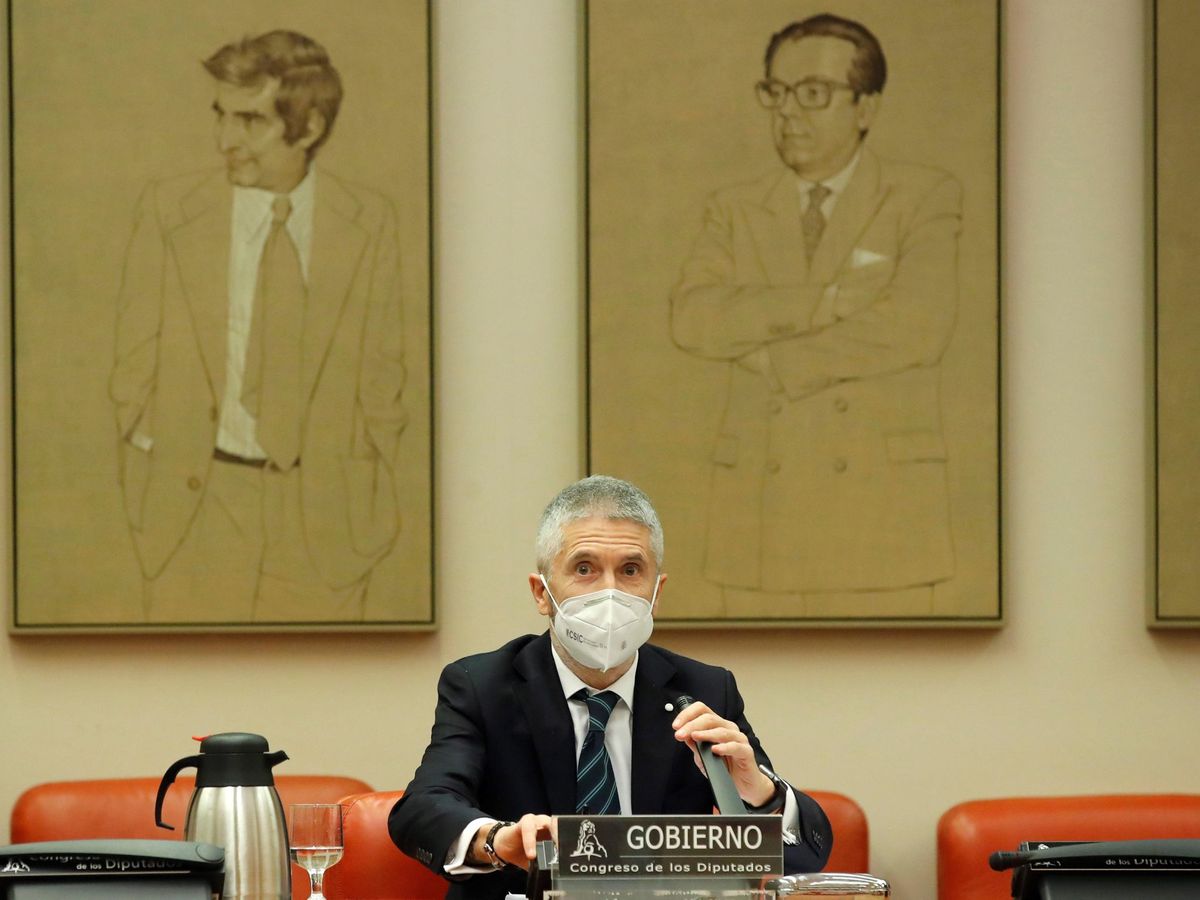Foto: El ministro del Interior, Fernando Grande-Marlaska, durante una comparecencia en el Congreso. (EFE)