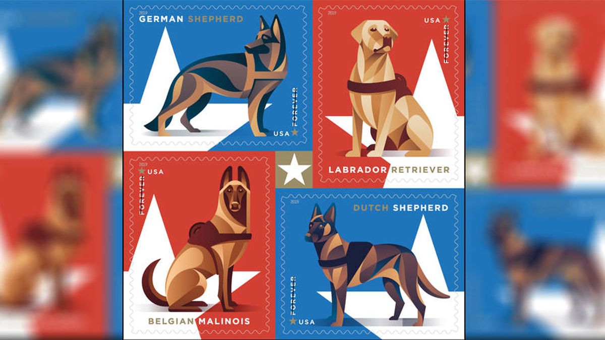 Los perros militares que salvan vidas tendrán su propia colección de sellos