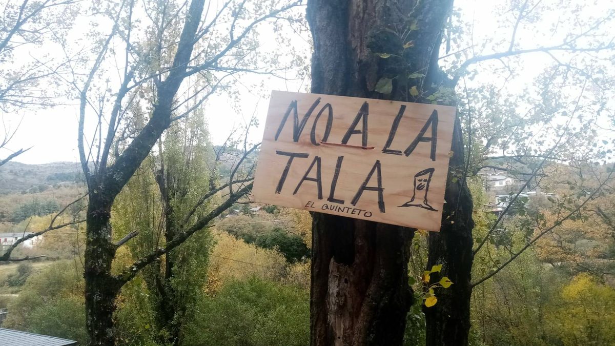 "Quieren talar 38 árboles con fondos de europeos": la pugna medioambiental que agita a Miraflores de la Sierra