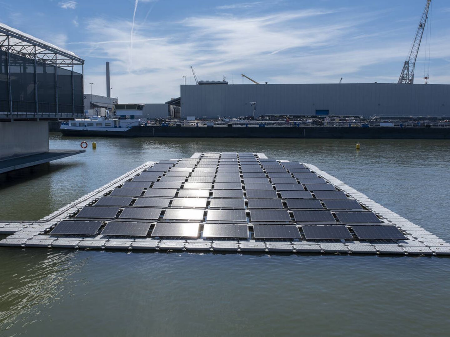 Los paneles solares flotantes tienen grandes impactos para la biodiversidad. (iStock)