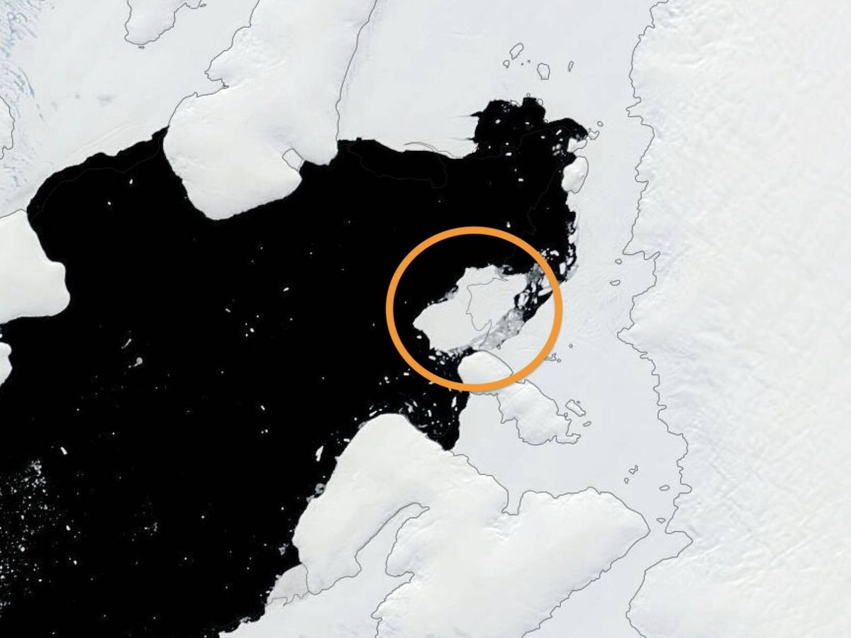 Desprendimento de iceberg na Antártida revela ecossistema marinho preservado por séculos no fundo do mar