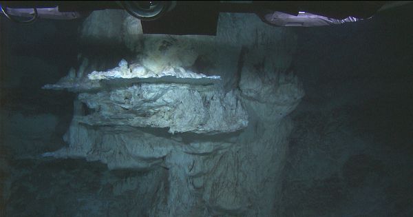 Foto: Formación calcárea en la Ciudad Perdida de la expedición del buque "Okeanos Explorer". (Wikipedia)