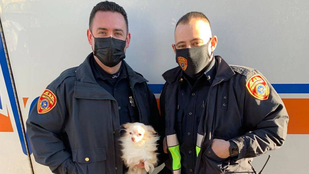 Dos policías se juegan la vida para salvar a un perro y un gato de un incendio en Nueva York