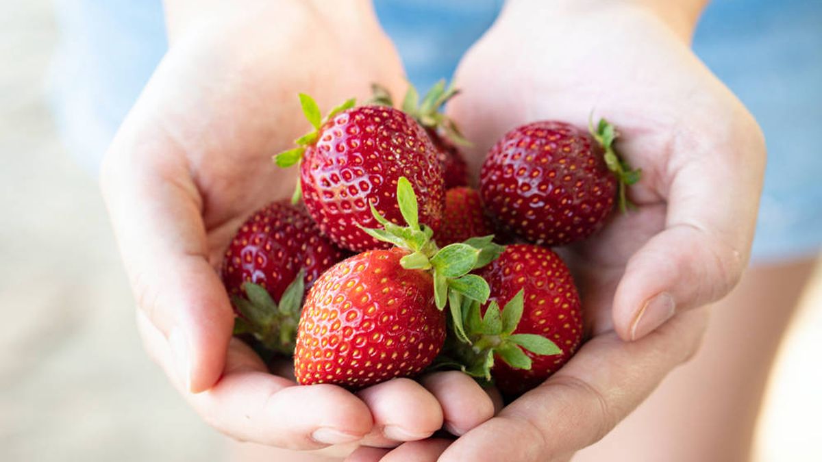 Cinco razones por las que la fruta será tu gran aliada para adelgazar este verano