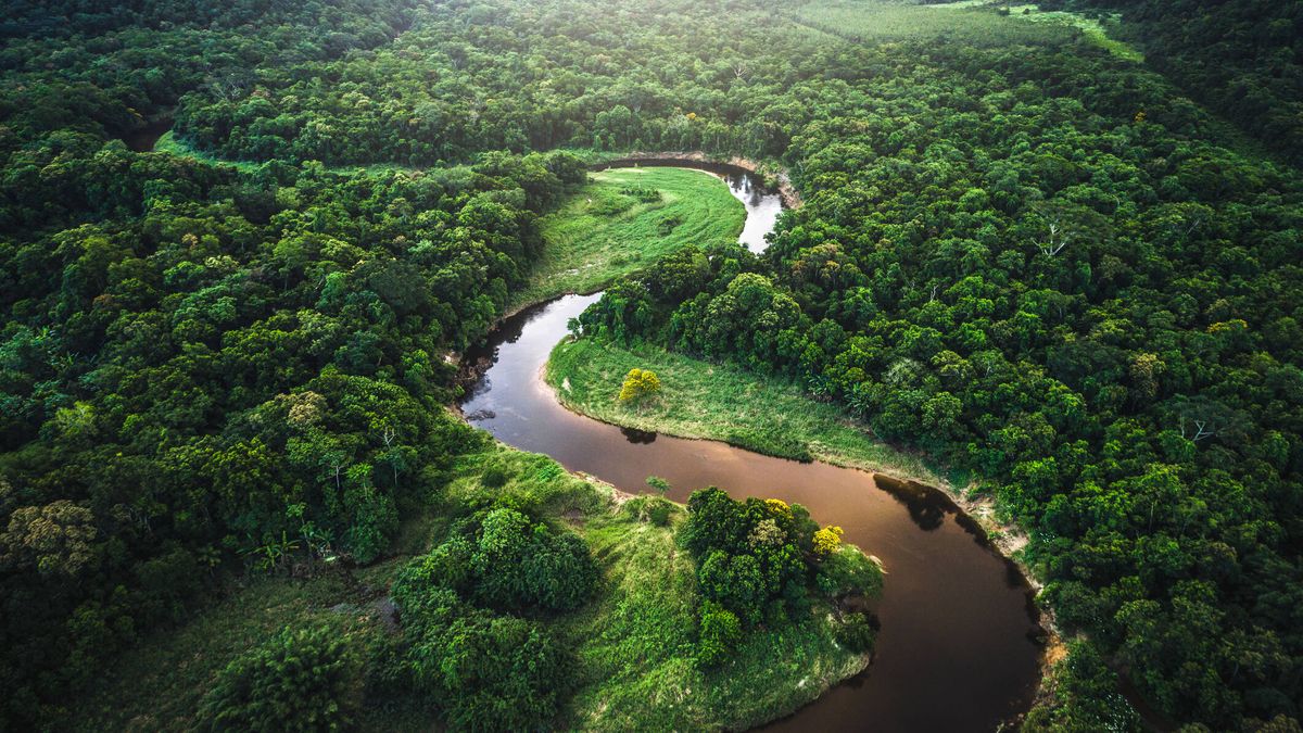 Por qué el río Amazonas no tiene ni tendrá ningún puente que lo cruce