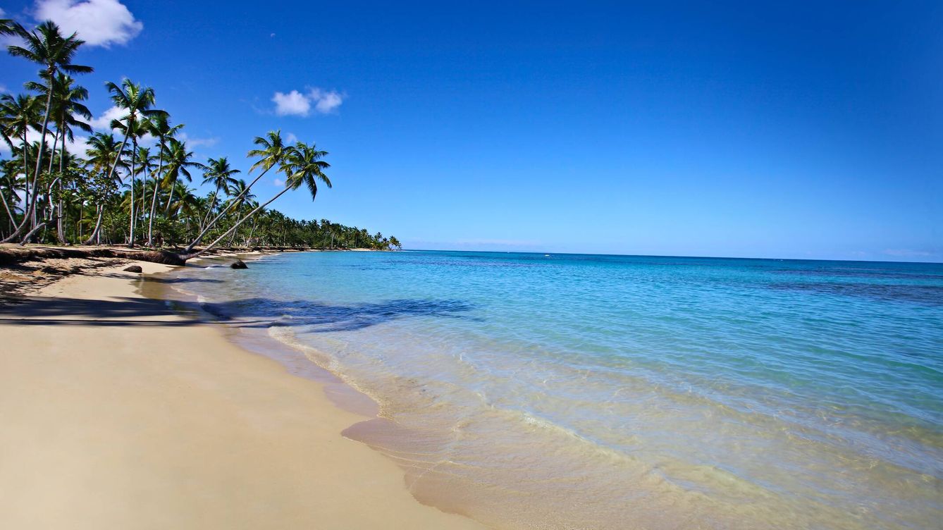 Foto: Una de las muchas playas vírgenes de Samaná, auténtico paraíso en la Tierra. (Cortesía)