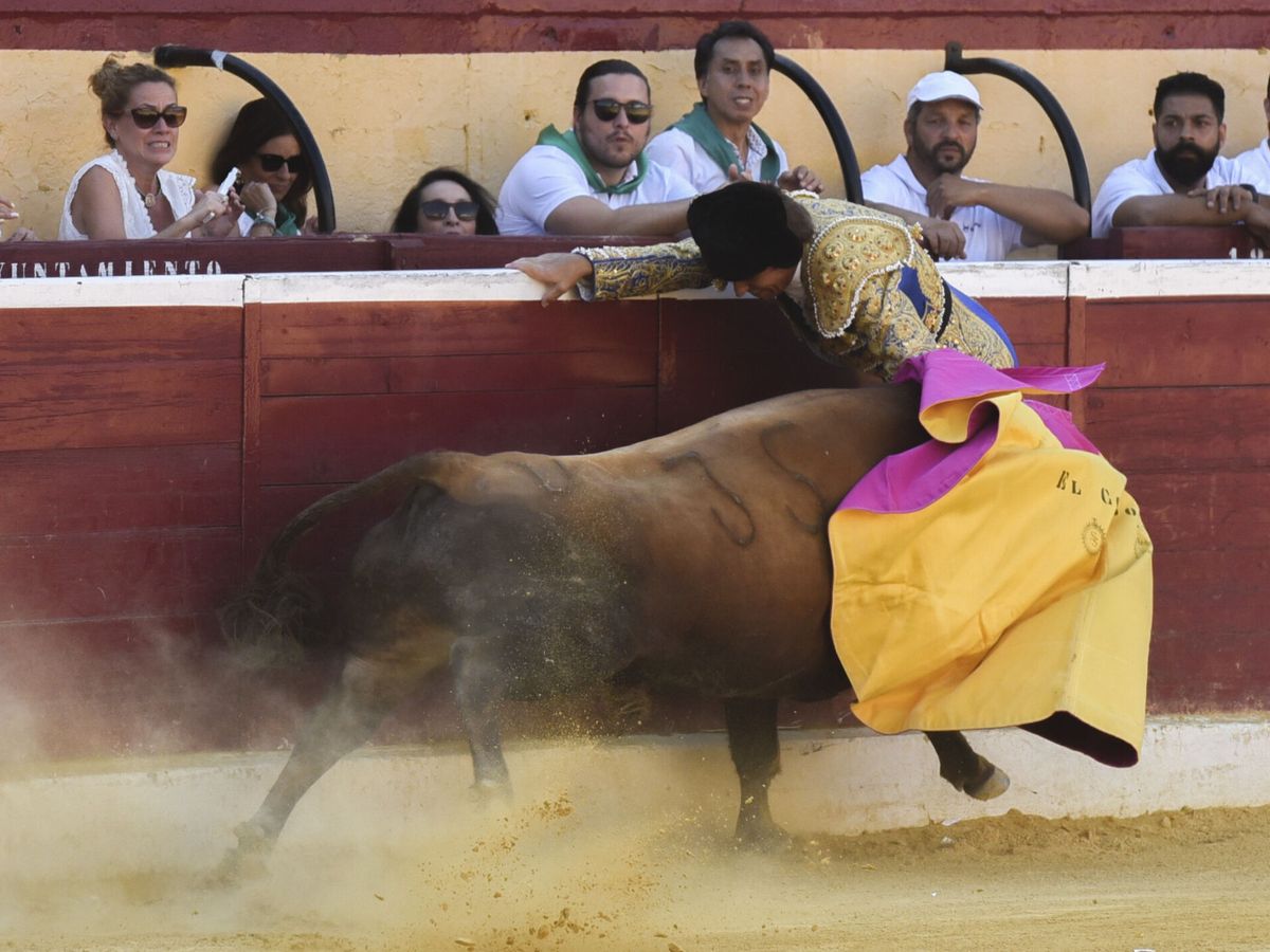 Foto: Imagen de la cogida al torero Manuel Díaz 'El Cordobés'. (EFE/Javier Blasco)