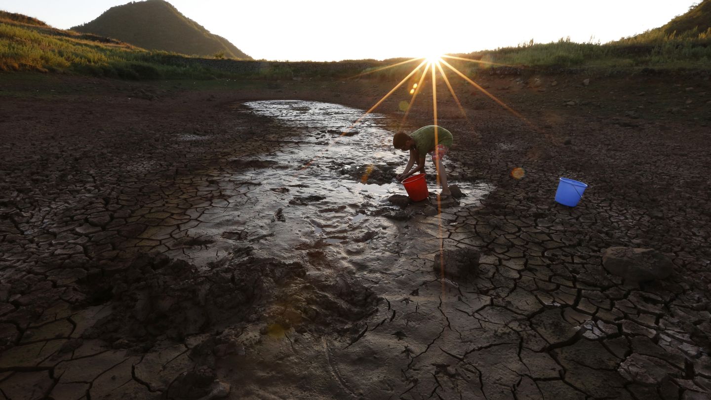 Un hombre intenta recoger agua de un estanque seco en Xinchang, en la provincia china de Zheijang (Reuters).