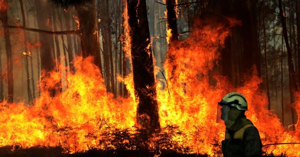 Foto: La UME se suma a los trabajos de extinción del incendio en Ribeira. (EFE)