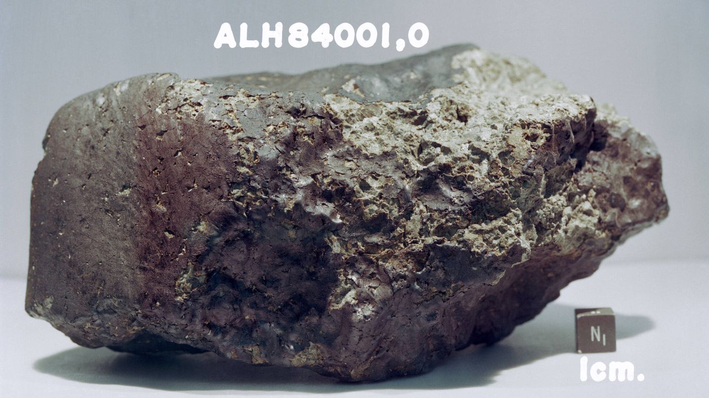 El meteorito marciano ALH84001.