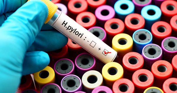 Foto: La bacteria Helicobacter pylori es un riesgo para nuestra salud. (iStock)