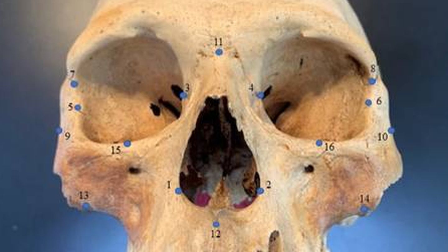 Uno de los cráneos de la investigación. Foto: Universidad Estatal de Carolina del Norte 