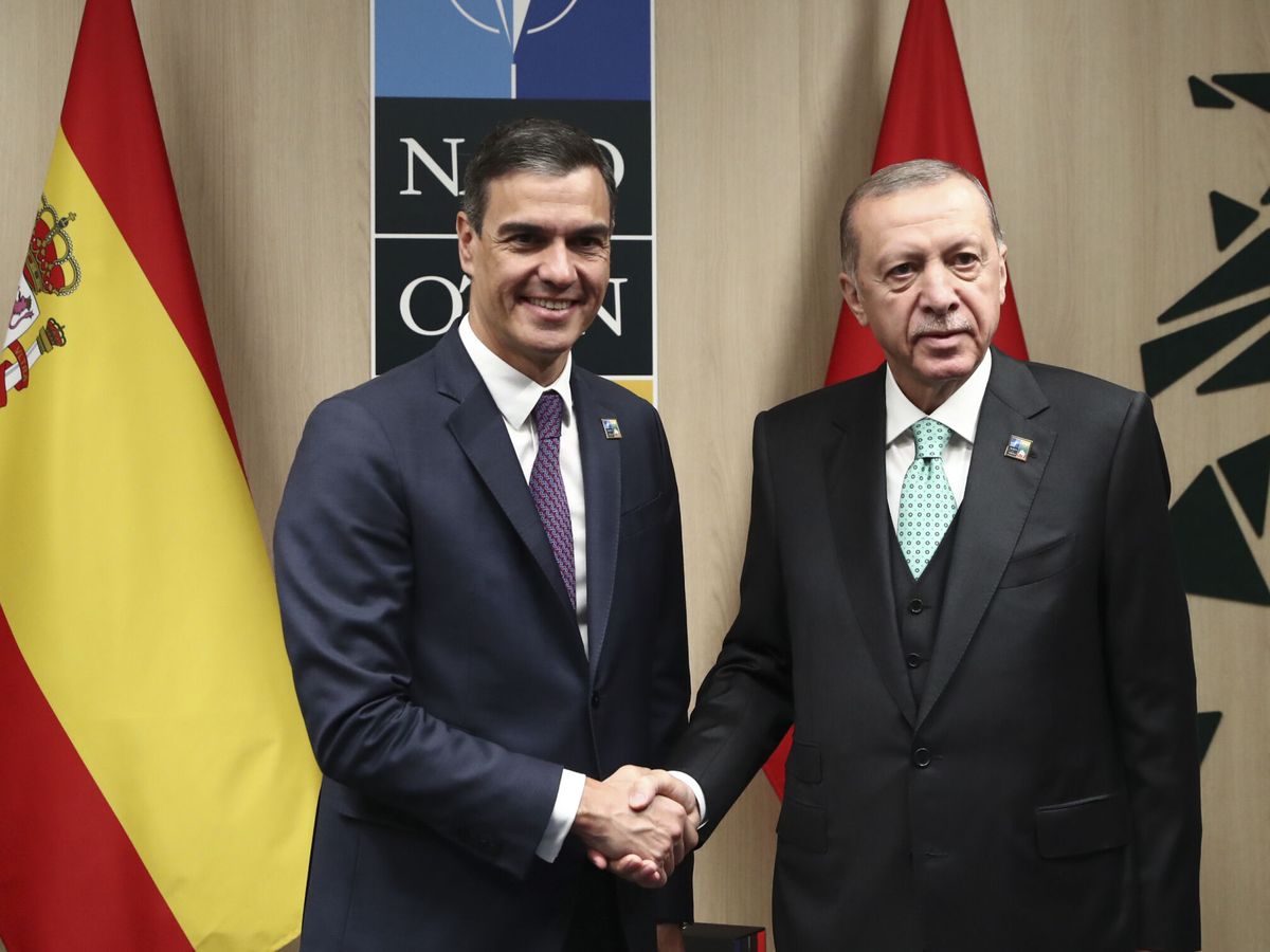 Foto: El presidente del Gobierno, Pedro Sánchez (i), y el presidente de Turquía, Recep Tayyip Erdogan. (EFE/Moncloa/Fernando Calvo)