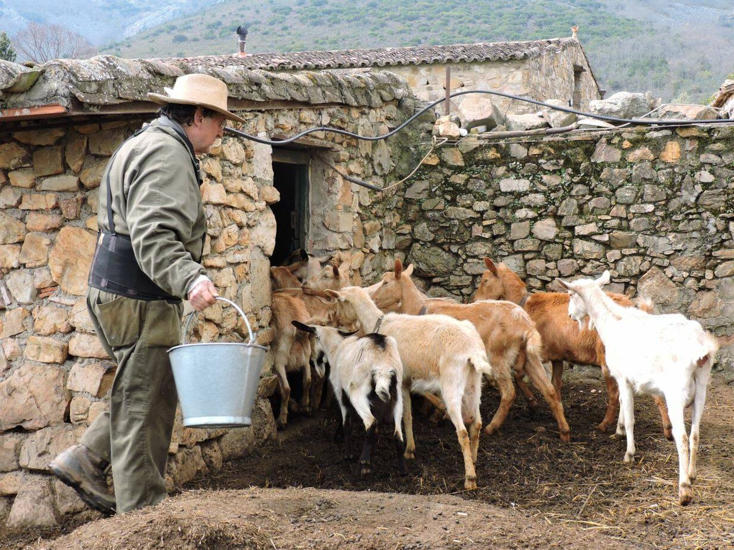 Joaquín Araujo en su granja de Las Villuercas, Extremadura. (Jose Luis Gallego)