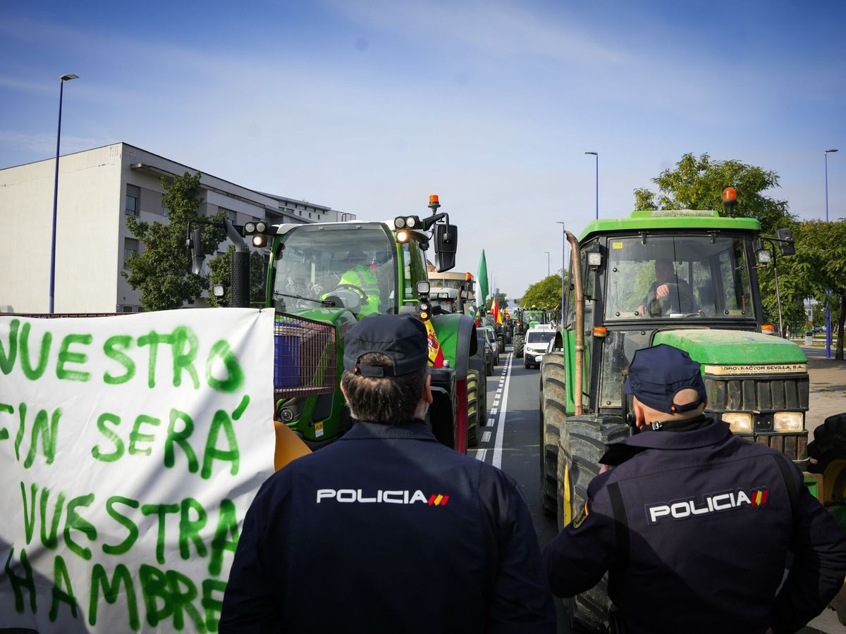 Foto: La Policía vigila una manifestación en Sevilla. (Europa Press/María José López)