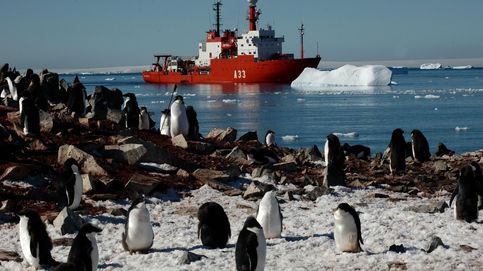 Crónica desde la Antártida: debemos preservar este continente para la conservación