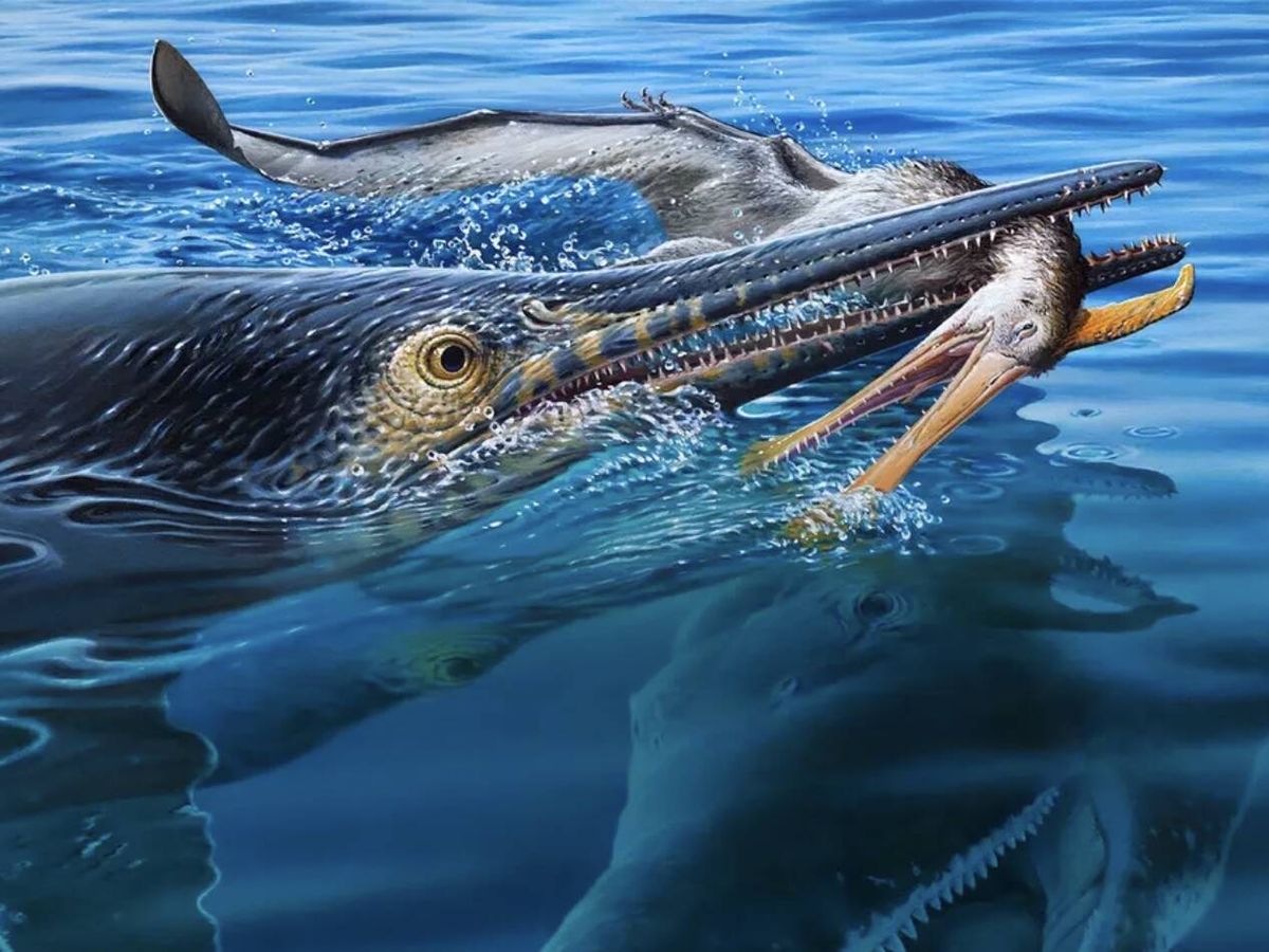 Fóssil revela cadeia alimentar entre pterossauro, ictiosauro e pliosauro no Cretáceo inferior