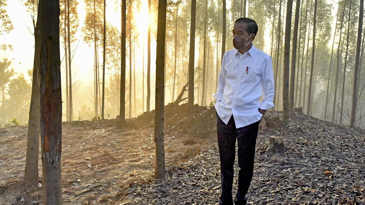 El presidente de Indonesia, Joko Widodo, visitando el lugar donde se situará la nueva capital del país. (EFE/EPA/Agus Suparto)