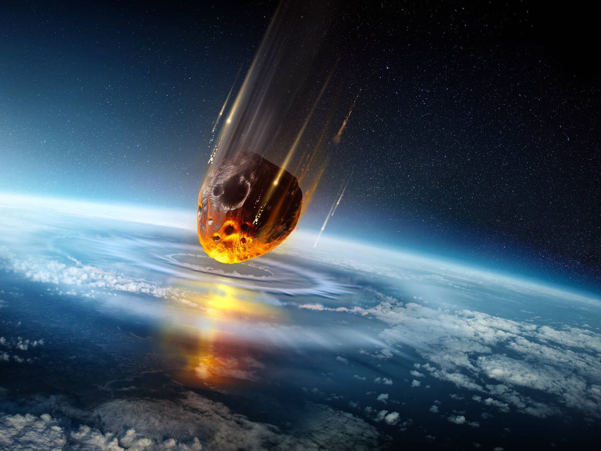 Cómo sobrevivieron las cucarachas al asteroide que mató a los dinosaurios