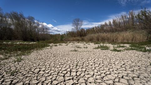 Cataluña se muere de sed: campos yermos, bosques resecos y pantanos al 18%