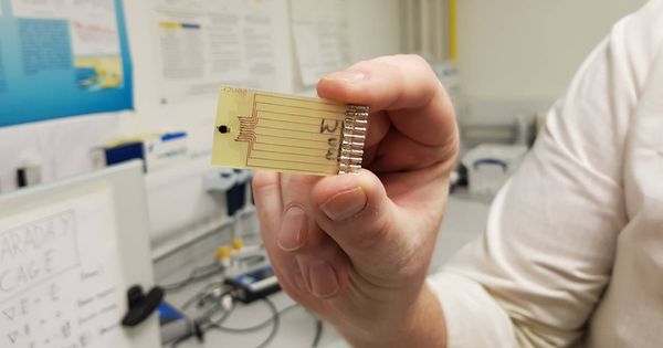 Foto: El pequeño dispositivo es muy económico y reduce de tres días a 3 minutos el diagnóstico de la sepsis (Foto: Strathclyde University)