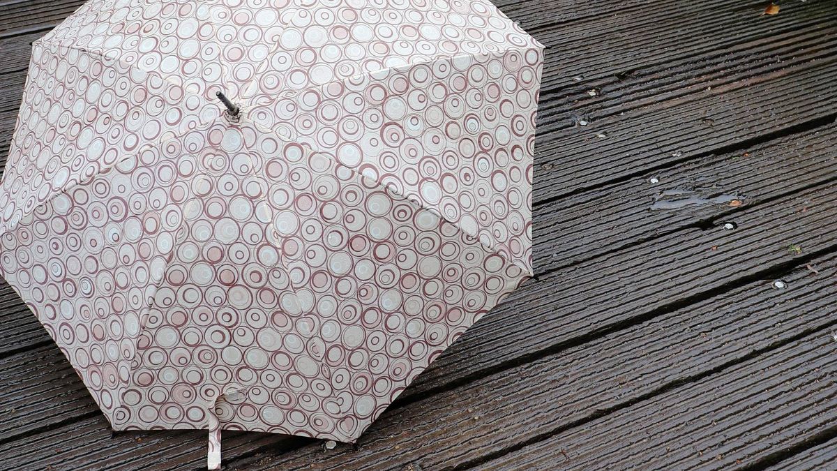 Paragüeros decorativos para guardar tus paraguas en días de lluvia