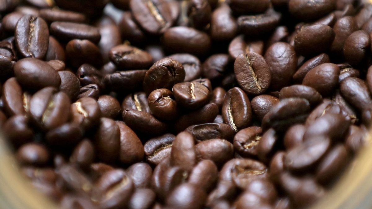 Las 'startups' de BCN que consiguen millones de inversores 'tech' con suscripciones de café