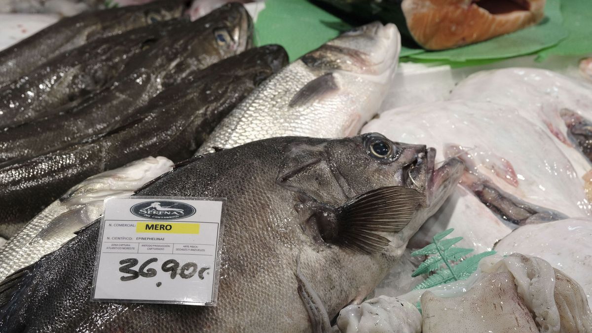 Desmantelan una red de furtivismo: 422 kilos de pescado y marisco incautados en A Coruña