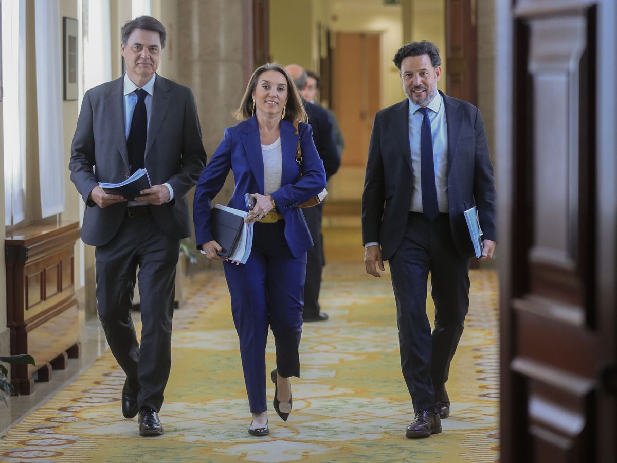 Foto: La portavoz del PP en el Congreso, Cuca Gamarra, acompañada de Carlos Rojas y Guillermo Mariscal, en el Congreso. (EFE/Fernando Alvarado)